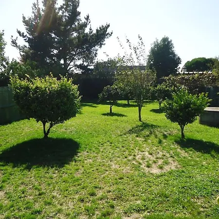 House With Pool Casa Da Faia - Aveiro Casa de Férias Avanca