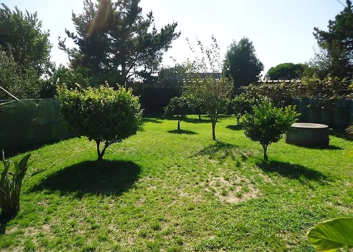 House With Pool Casa Da Faia - Aveiro Holiday home Avanca